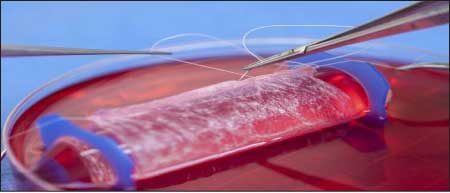 جريدة الحقيقة