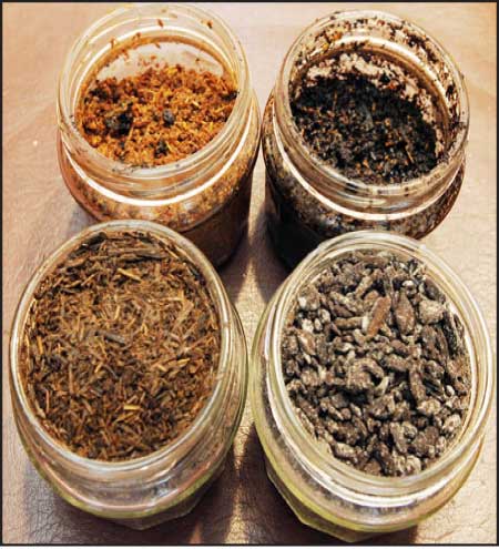 جريدة الحقيقة