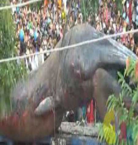 جريدة الحقيقة