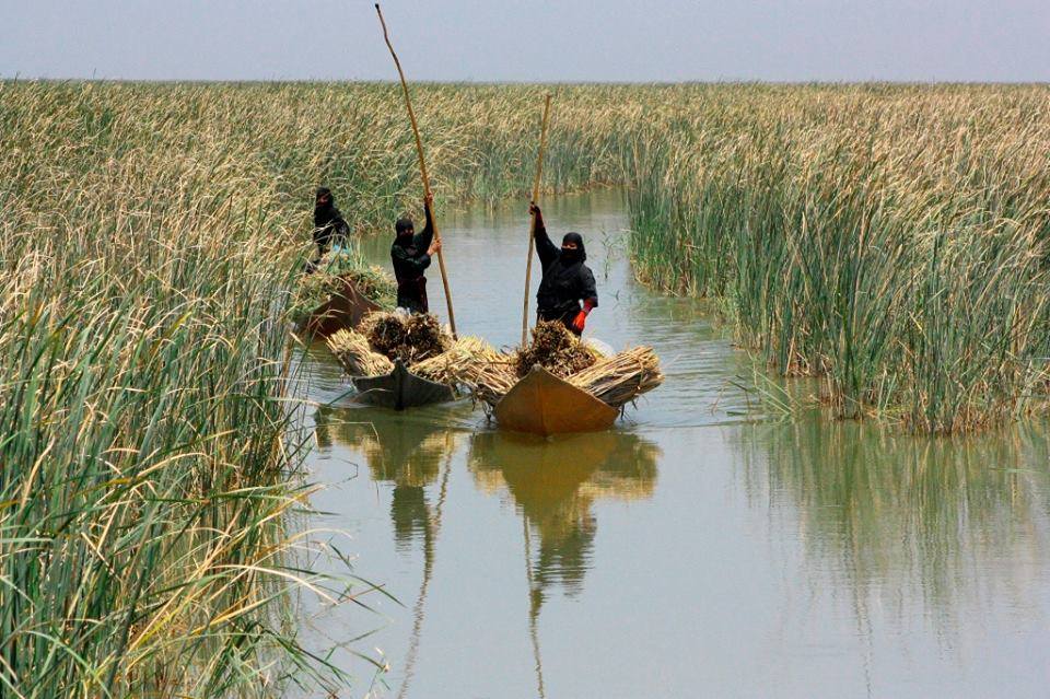 جريدة الحقيقة