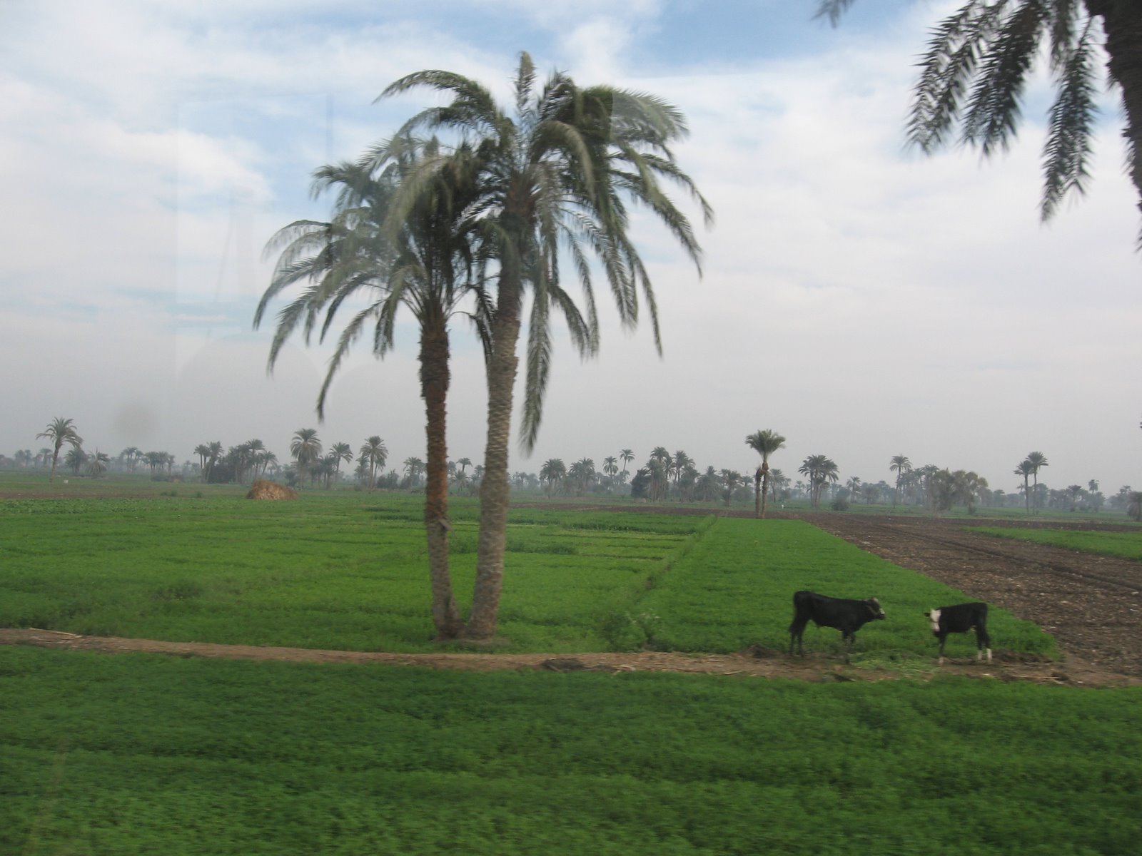 جريدة الحقيقة