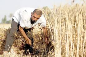 جريدة الحقيقة