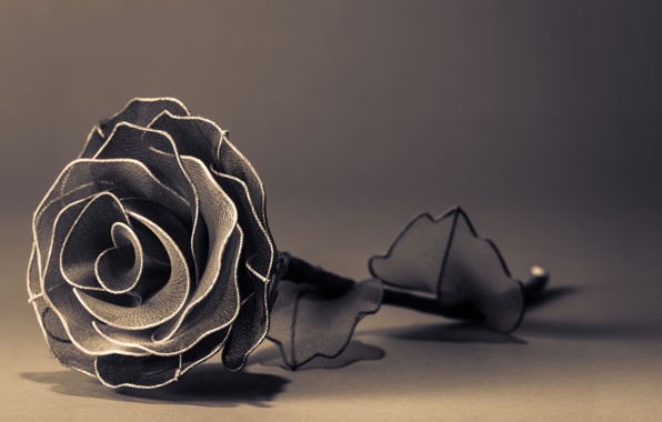 جريدة الحقيقة