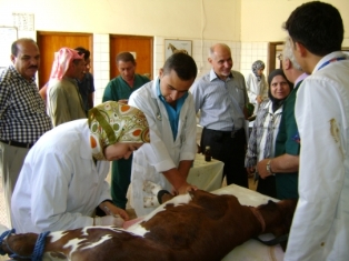 جريدة الحقيقة