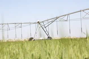 جريدة الحقيقة