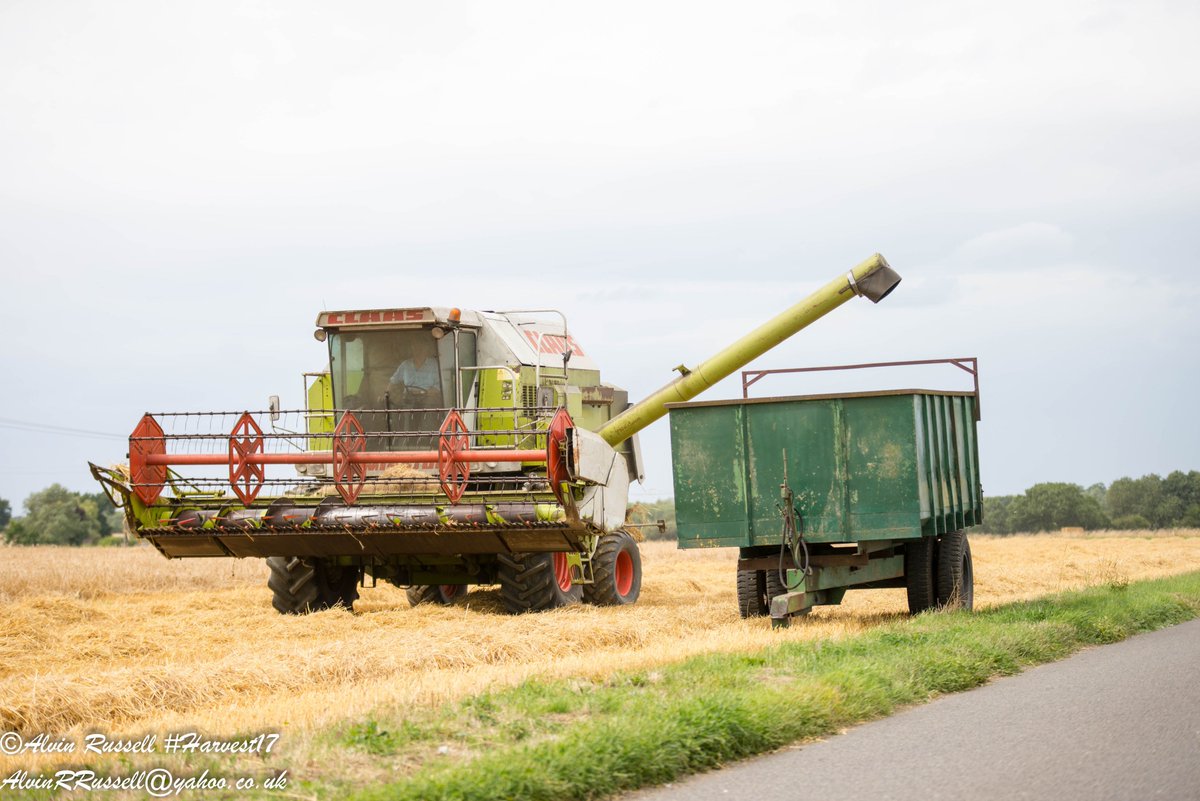 جريدة الحقيقة